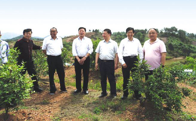 臨湘市人大領導來公司茶山九豐農(nóng)業(yè)基地視察