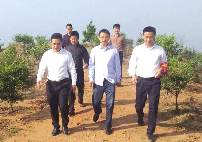 臨湘市委副書記余岳雄(左)來湖南九豐農(nóng)業(yè)發(fā)展有限公司基地調(diào)研