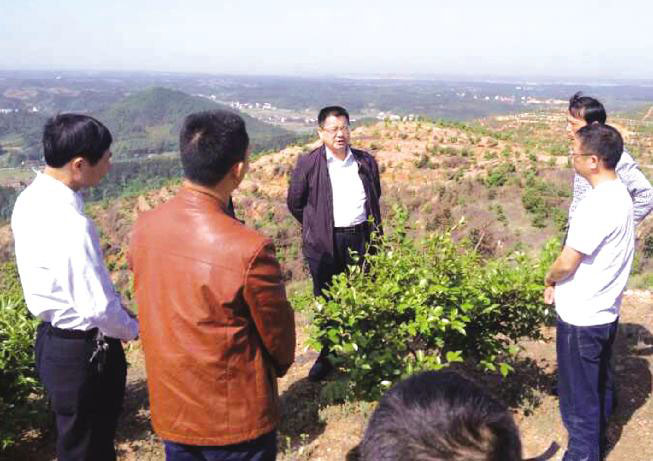 岳陽市政協(xié)主席徐新楚(中)視察公司基地