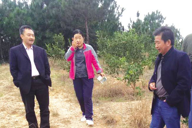 著名油茶專家陳永忠教授(左)來九豐農(nóng)業(yè)公司基地考察