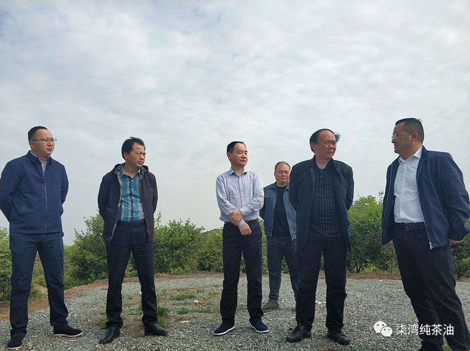 省林業(yè)局法規(guī)改革處及市區(qū)領導來九豐公司調(diào)研工作