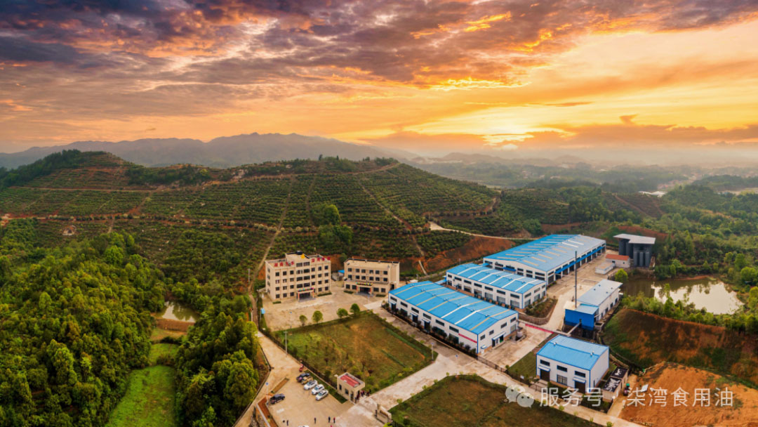 2025，向夢想出發(fā)。