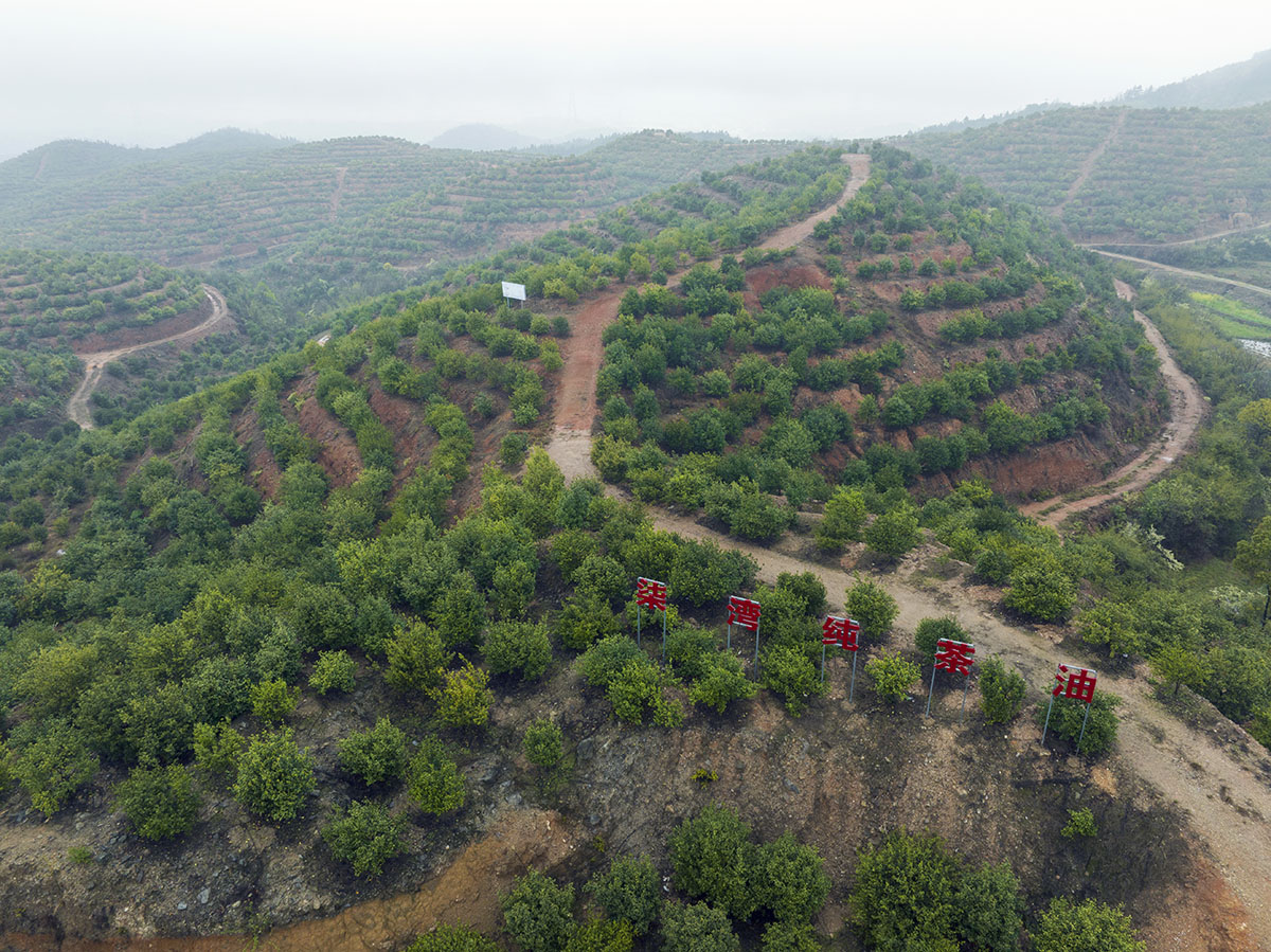 九豐農(nóng)業(yè)四合基地
