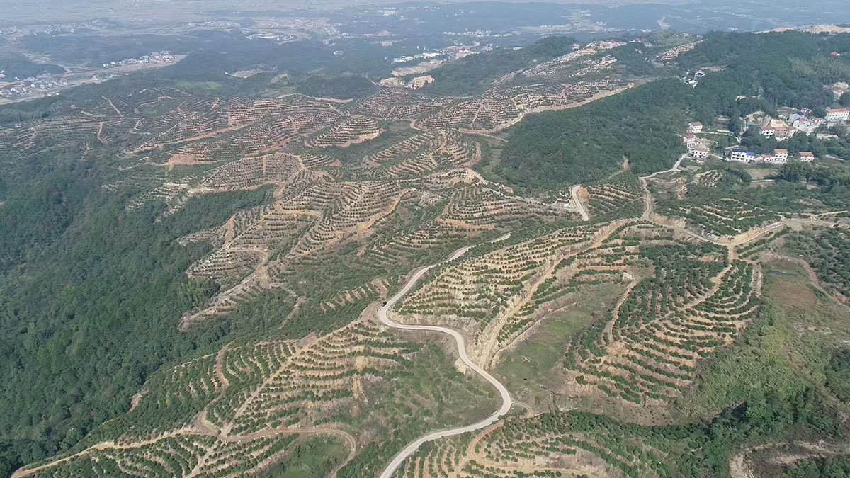 九豐農(nóng)業(yè)劉家灣基地