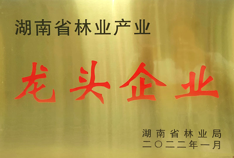 湖南省林業(yè)產(chǎn)業(yè)龍頭企業(yè)