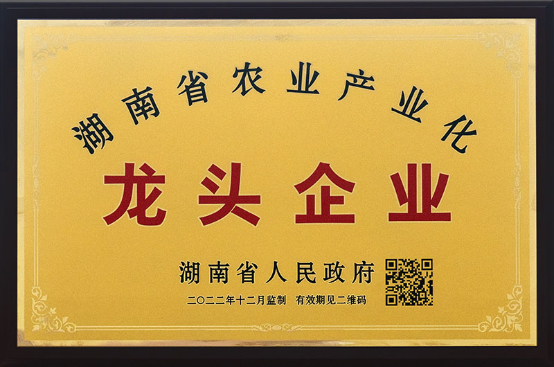 湖南省農(nóng)業(yè)產(chǎn)業(yè)化龍頭企業(yè)