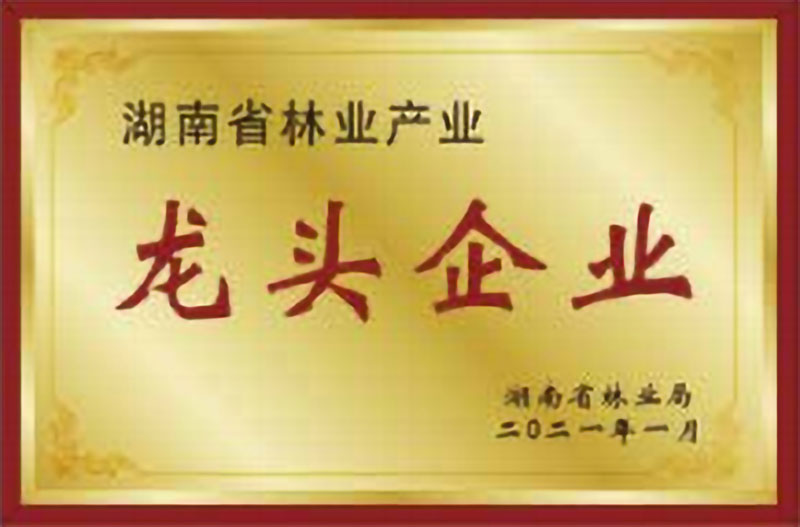 湖南省林業(yè)產(chǎn)業(yè)龍頭企業(yè)