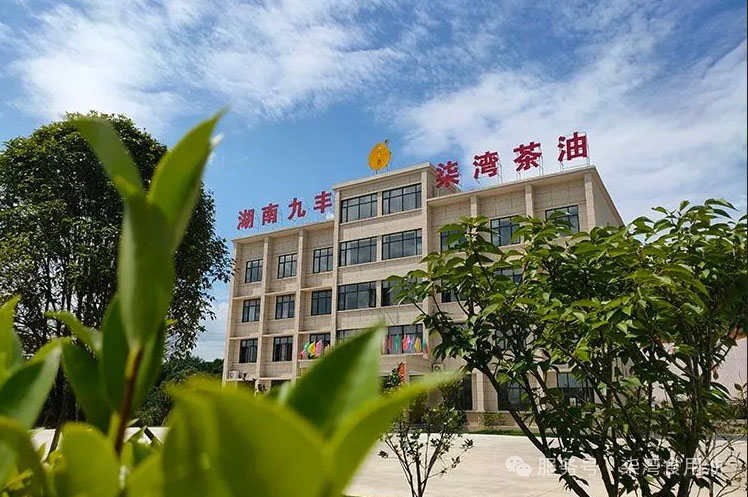 走進(jìn)柒灣油茶世界丨小小“黃金果”，鋪滿(mǎn)“致富路”