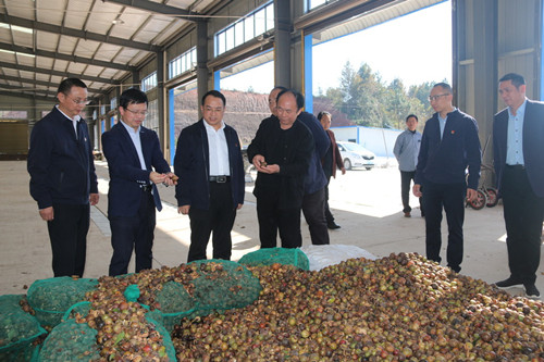 林彰良來我市調(diào)研脫貧攻堅工作 謝勝陪同